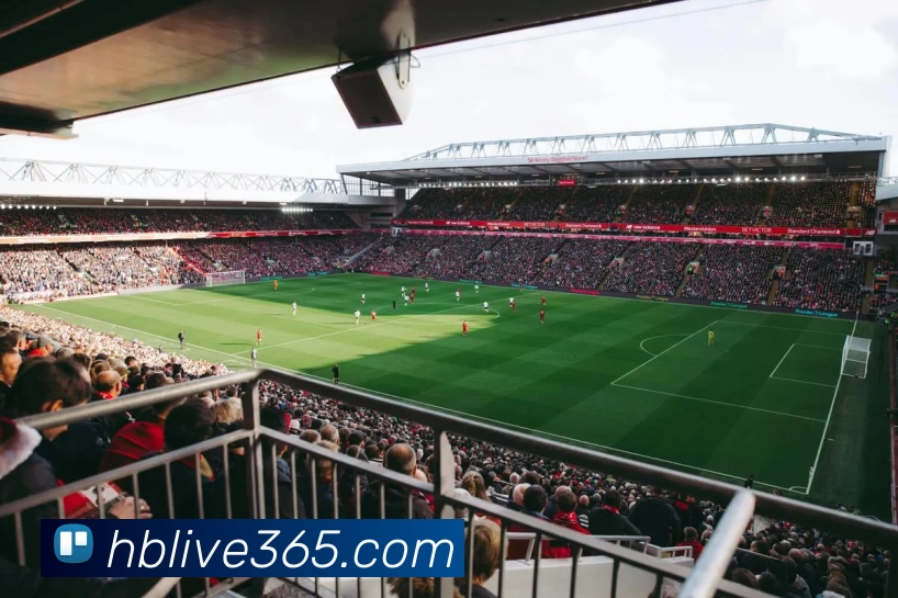 黑白体育直播官网品牌故事