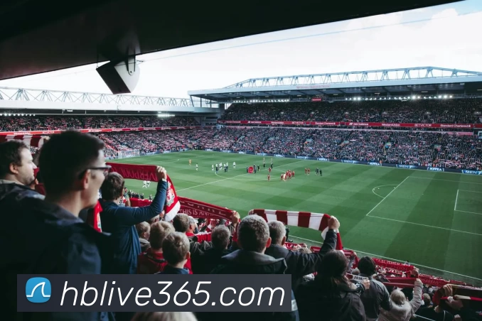 黑白体育直播官网服务体系